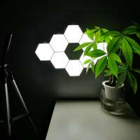 Factory DIY 6PCS Geometric Modular White Color Hexagonal Quantum Lamp Smart Touch Sensor Led wall Night Light for Home Decor